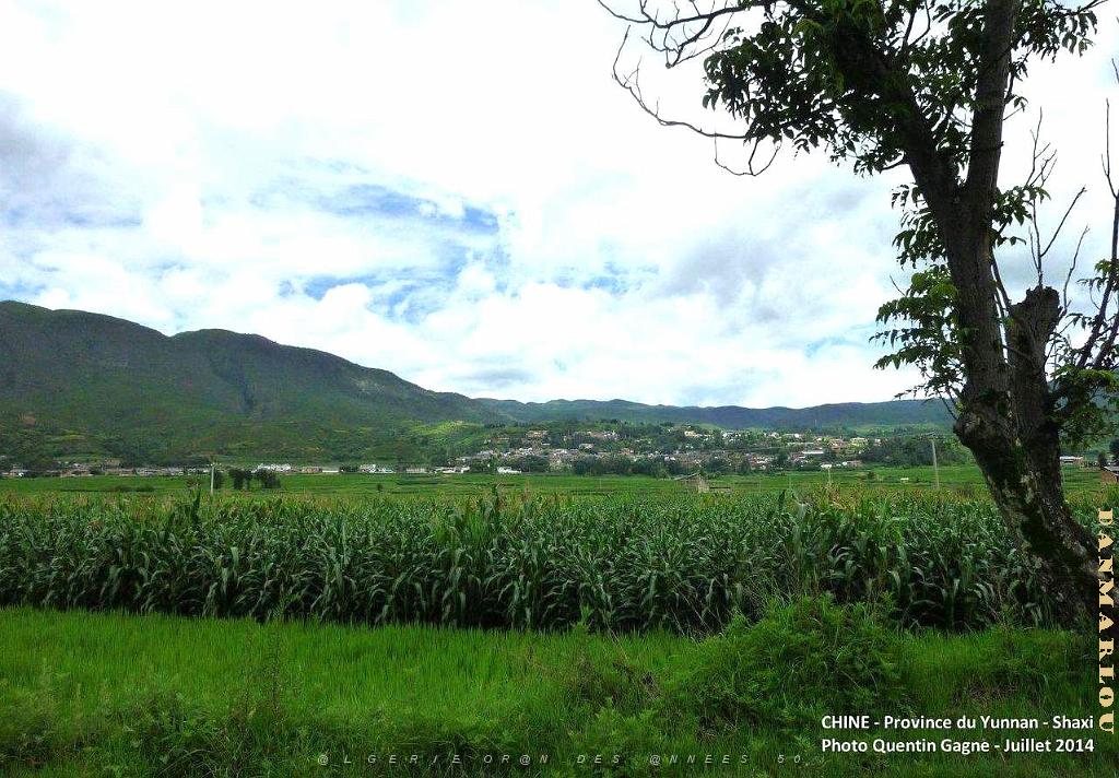 163 - Shaxi.JPG